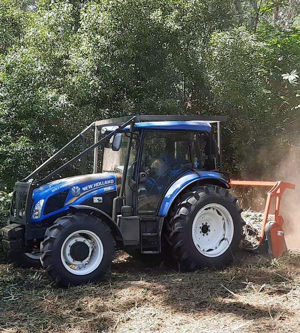 Antes 4 (1)-fotor-20230711161153 Antes 4 (1)-fotor-20230711161153